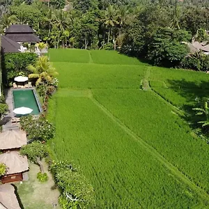 byasa-ubud.ubudhotelsnow.com/